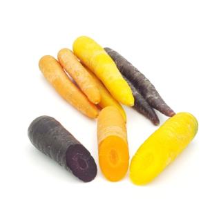 Möhren Mix bunt