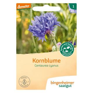 Kornblumen (blau)